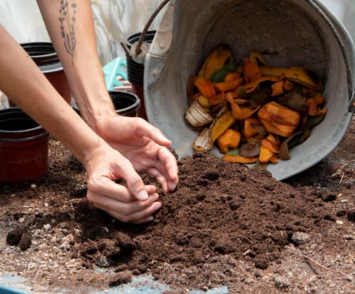 <a href="https://www.freepik.es/foto-gratis/compost-concepto-naturaleza-muerta_17538482.htm#fromView=search&page=2&position=33&uuid=82bb8960-6f23-4af9-911a-458a93e9c3fe">Imagen de freepik</a>