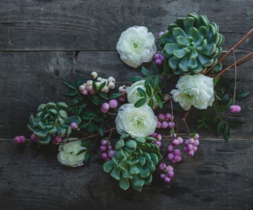Diseñado por Freepik Echeveria-Elegans www.freepik.com