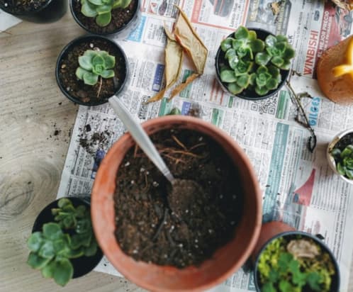 Foto de Melisa Hildt en Unsplash